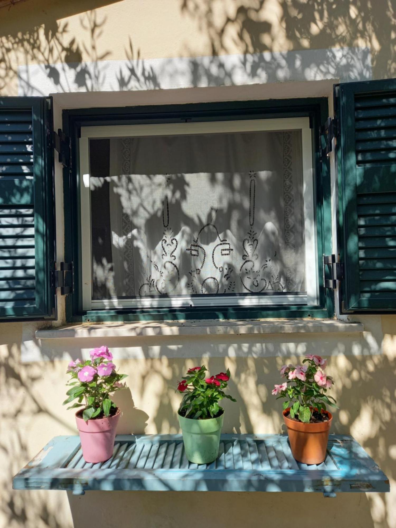 Appartement Casa Natasa à Oziás Chambre photo